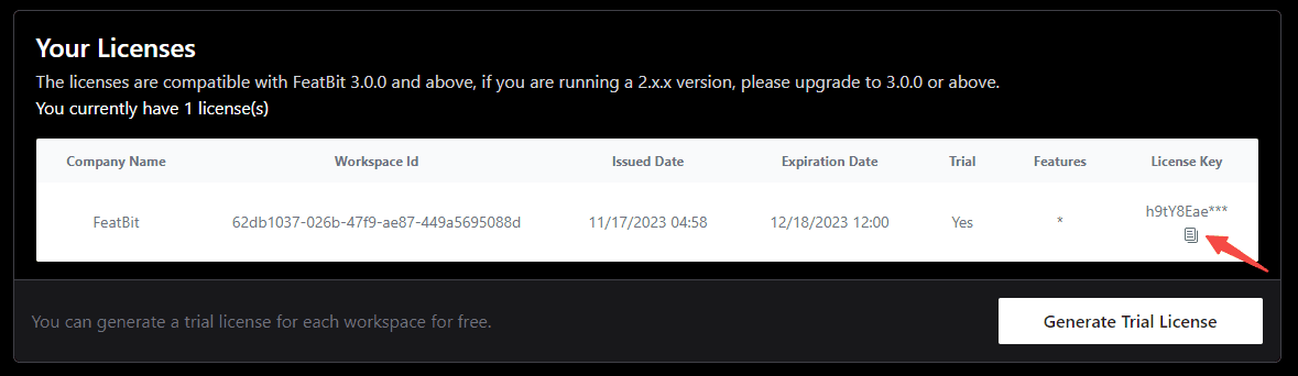 Copy license key
