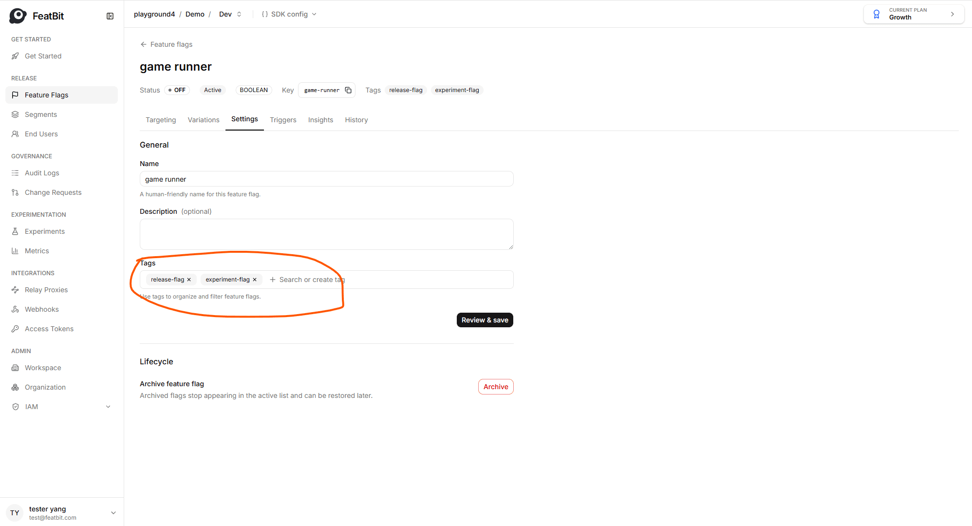 Add lifecycle tags to a feature flag